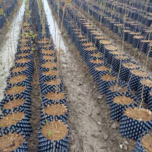 High Quality PE 3 5 7 10 20 30 40 Gallon Root Control Container Device Air Pruning Pot for Garden Growing Grape